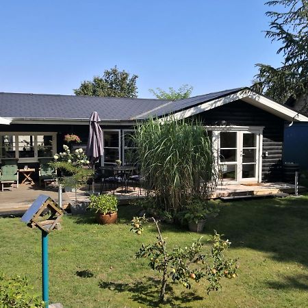 Spurvereden ved vandet Greve Buitenkant foto