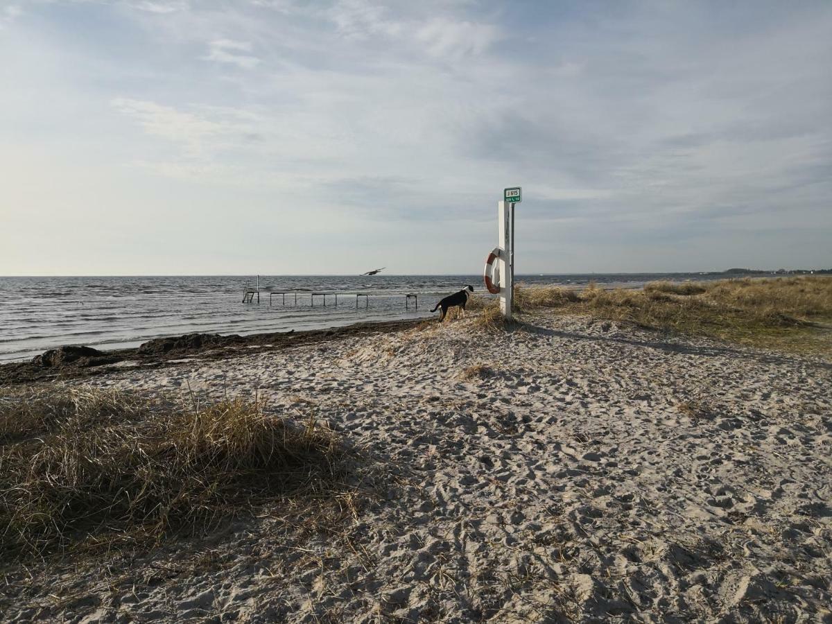 Spurvereden ved vandet Greve Buitenkant foto